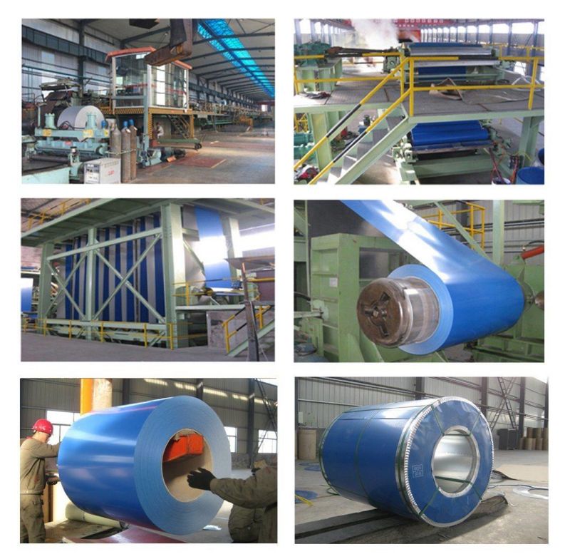 Building Material PPGI Dx51d Prepainted Galvanized Steel Coil