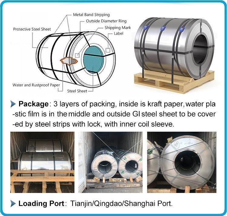 0.14mm-0.6mm /Prime Galvanized Steel Strip/Hot Dipped Dx51d/Z100/ Gi Zinc Coated Galvanized Steel Coil