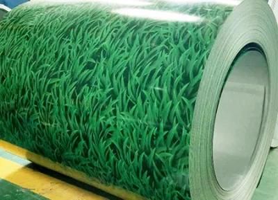 Color Coated Galvanized Steel Plate/Gi Slit Coil/Metal Strip Coil
