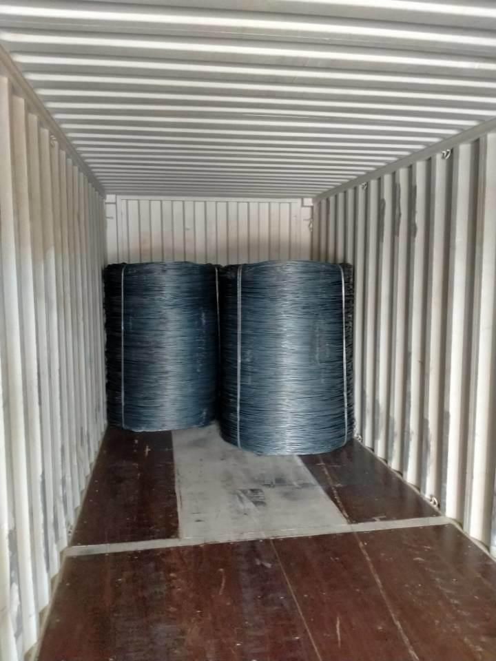 SAE 1006 Hot Rolled Steel Wire Rod in Coils for Making Nails