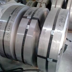 Professional Manufacturer Stainless Steel Coil DIN 201 Grade