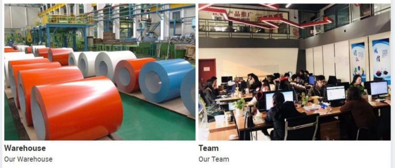 Prepainted Galvanized Steel Coil/Sheet Roll /0.2mm Thickness PPGI China Iron Steel Coil