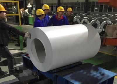 High Quality PPGI Coils From Shanghai of Green Colour
