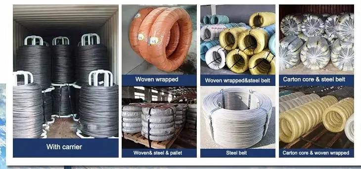 Manufacturer SAE 1006 Cr Hot Rolled Steel Wire in Coils for Making Nails