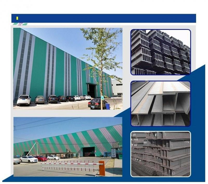 20 Year Service Promise Hot Rolled Galvanized Steel Coil