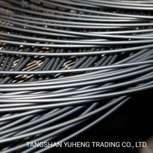 SAE1008/SAE1006/SAE1018/Swrch35K/Swrch45K Steel Wire Rod