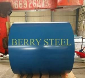 Color Coated Steel Coils Matte Surface