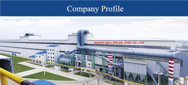 Steel Product Forged Steel Plate
