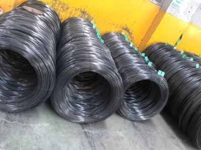 Black Annealed Low Price Wire Mesh ASTM AISI 65mn Spring Steel Wire