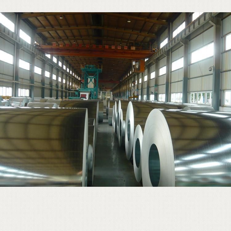 Zero Spangle Wholesale Galvanized Steel Coil Sheet for Kitchen Appliances Dx51d 100g Zinc Coated Gi Coil