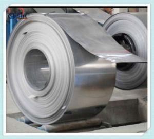 TP304 Stainless Steel Matt Surface Coil and Strip