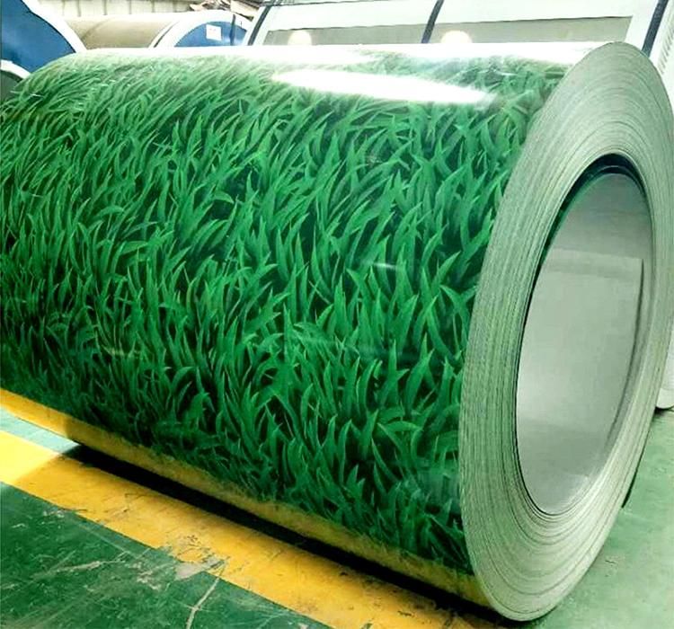 Factory Direct Ppcg Zinc 60g -275g Galvanized Steel Coil Metal Roofs Coated Color Steel Sheet