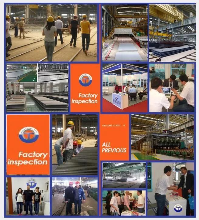 Building Material Sheet Strip ASTM A36 A283 Ss400 S235jr S355jr St37 St52 Hot Cold Rolled Ms Mild Carbon Steel Plate Coil