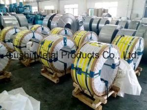 Ss Steel Strips Supplier in China Have Stock with Price