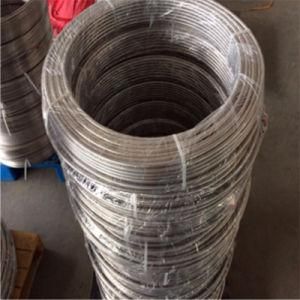 AISI 304 304L Seamless Pipe Coil Tube Suplplier Form China with Good Price