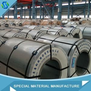 Galvanized Steel Coil / Belt / Strip Dx51d Made in China