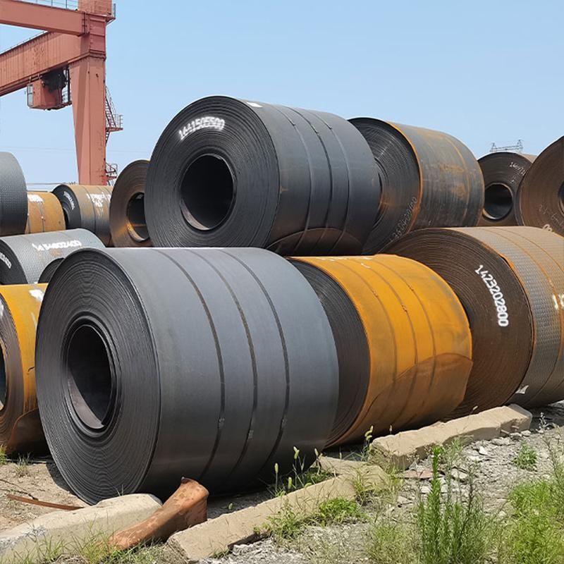 Carbon Steel Coil Plate Metal Roofing Sheet Design Building Material Steel Plate Metal Sheet Coil