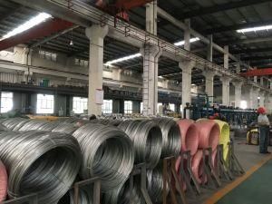 High Quanlity Stainless Steel Wire AISI304