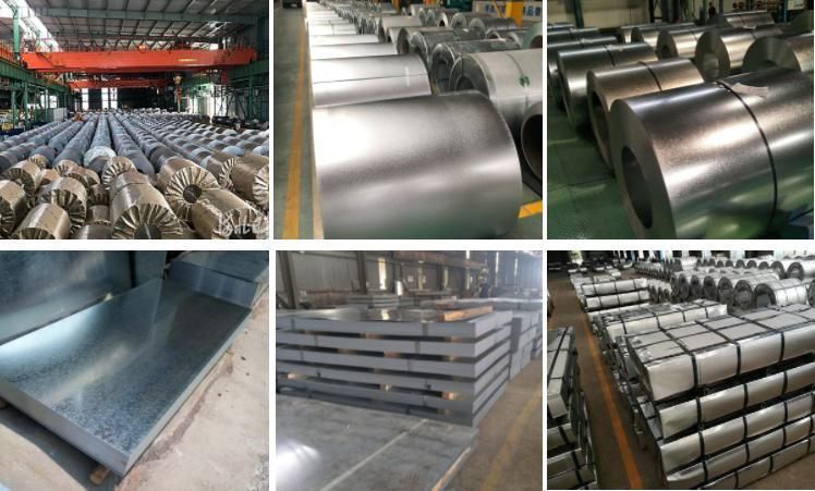 SGCC Dx51d 24 Gauge Hot Dipped Galvanized Steel Sheet /Coil Galvanized Roofing Sheet