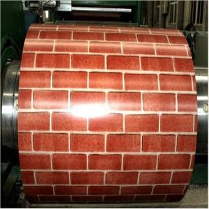 High Quality Pre-Painted Galvanized Steel Coil for Interior Decoration