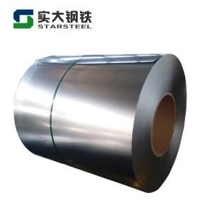 Regular Spangle Ship Plate Hot Dipped Galvanized Steel Coil