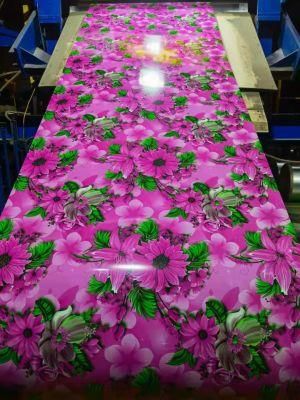 High Quality PPGI or PPGL White Surface Prepainted Steel Coil/ Plate