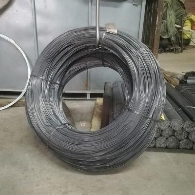 Hot Selling High Carbon Spring Steel Wire 2.0mm, 2.5mm, 3.0mm