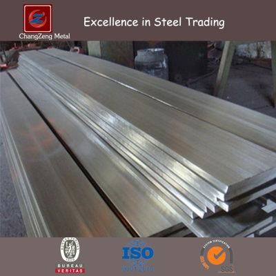 ASTM A276 Stainless Steel Flat Bar (CZ-F61)