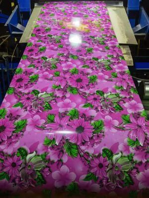 China Steel Manufacturing Roofing Material Prime PPGI Color Coated Prepainted Galvanized Steel Coil