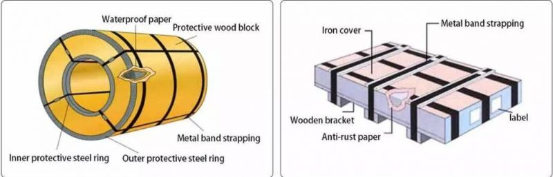 Customized 0.3-3mm Cold Rolled PPGI Products Galvanized Steel Coil with Color Coated