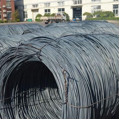 Hot Sell Helical Tension Compression Spring Steel Wire
