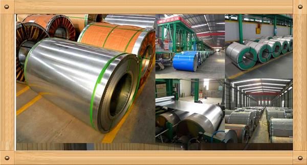 Galvanized Steel Plate, Ms Plate (Q235B, SS400, ST37, Q345, A36, S275JR, S355JR)