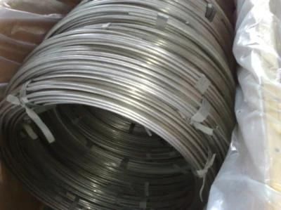Stainless Steel Coiled (coil) Pipes (tubes, tubings) for Chemical Injection Lines