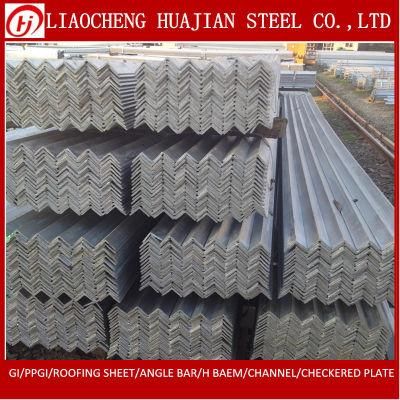 Equal and Unequal Angle Steel Bar for Iron Gate Design