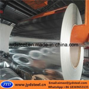 Gi/Hot-DIP Galvanized Steel Coil