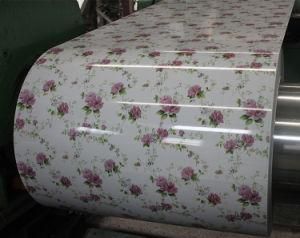 Color Coated Designed Flower Pattern Decorative PPGI Steel Coil