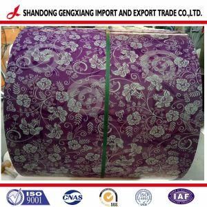 High Class Prepainted Galvanized Steel Coil/PPGI for Roofing