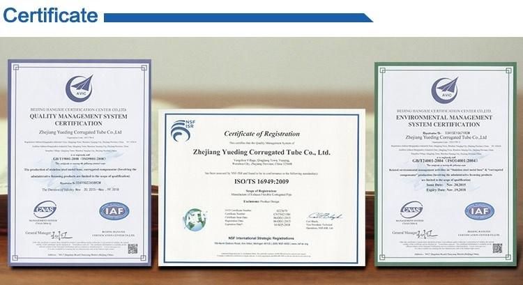 Made in China Manufacturer Flexible Metal Hose Braided Hose
