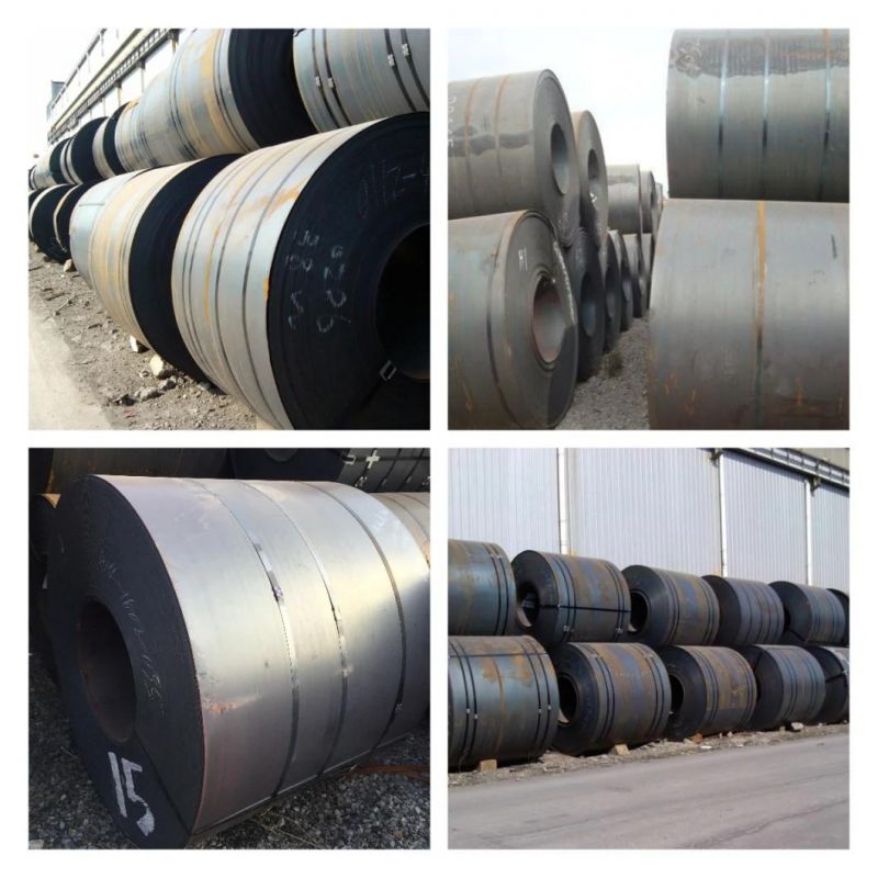 Professional Manufacture of Prepainted Galvanized Steel Coil (GI, GL, PPGI, PPGL)