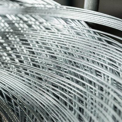 Zinc Coating Mass No Less Than 5g/Sqm Galvanized Steel Wire