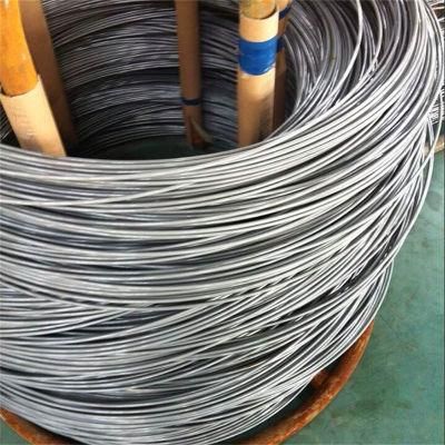Stainless Steel Wire Lashing Wire ASTM A228 A313 2mm 3mm 4mm 5mm 6mm 7mm