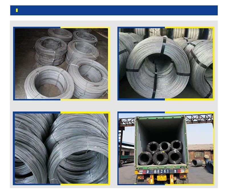 Galvanized Steel Wire Rod in Coils/ Steel Wire