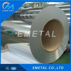 Foshan Manufacturer Cold Rolled Stainless Steel Coil 304