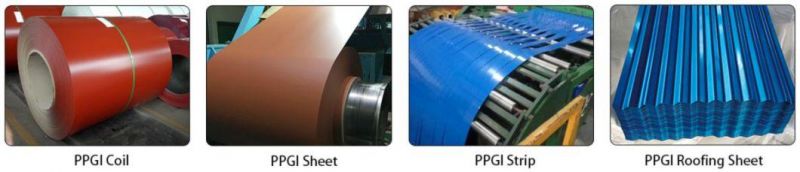 Factory High Quality and Free Samples Prepainted Color Coated Steel Coil