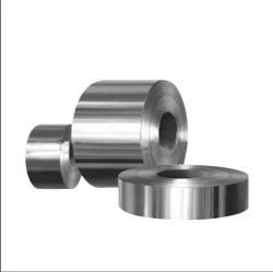 Inox Iron Cold Rolled Metal Sheet ASTM Coil in Stainless Steel for Construction Tp405 409