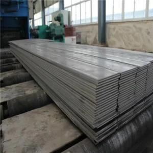 Hot Rolled Carbon Q235/Q345/316L/ASTM A36 Structure System Support Materials Black Falt Bar