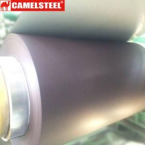 PPGI Metal Steel Coil Zinc 30g/60g/80g/100g/120g/140g Galvanized Steel
