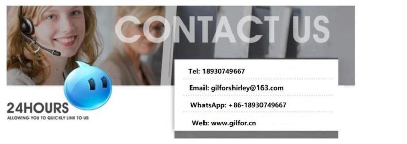 Construction Material Dx51d Z40g Hot Dipped Zinc Coated Gi Galvanized Steel Coil