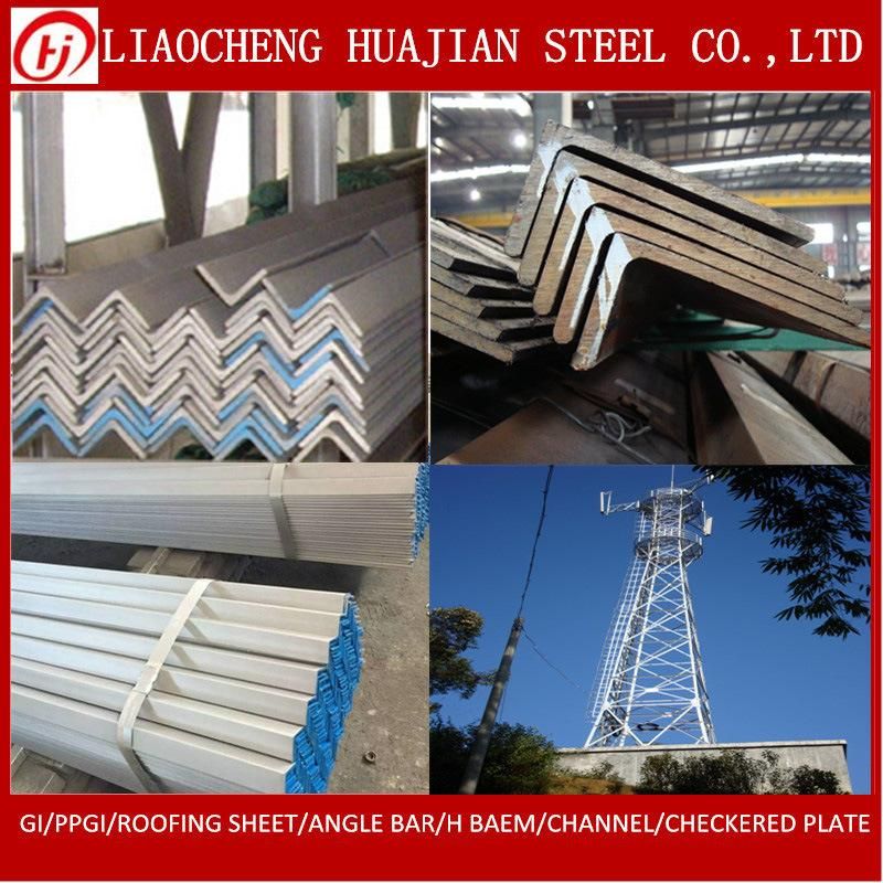 Equal and Unequal Angle Steel Bar for Iron Gate Design