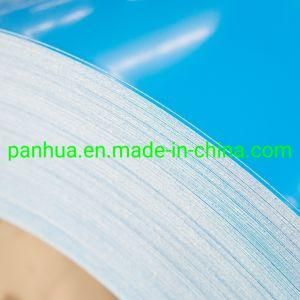 Color PPGL/PPGI Steel Coil/Sheet